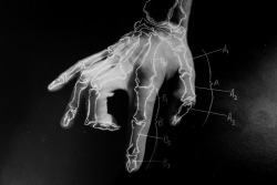 petalis:  medium format HAND (by Alan John Herbert) 