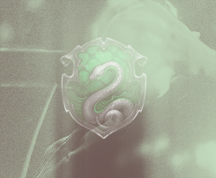  The Magic Begins: Your house  ↳ Slytherin “Or perhaps in