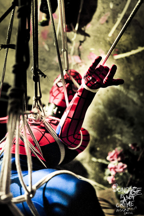 spidey in a suspension bind  bondageisnotacrimeparis:  spiderman’s dreambed pour acheter des tirages Art de mes photos  