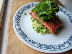 onioncloute:  seared salmon, sweet pea risotto, pea greens &
