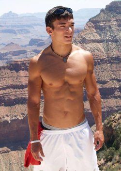 Pecs 'n' More