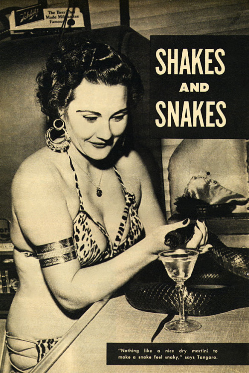 burleskateer: Tangara                 ..buys her snake a drink! Scanned from the pages of the March ‘55 issue of ‘TAB’ pocket digest.. 