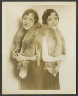 Daisy & Violet Hilton - Siamese Twins