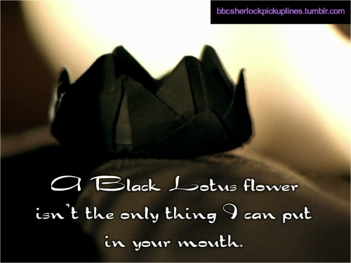 “A Black Lotus flower isn’t the only thing I can put in your mouth.”