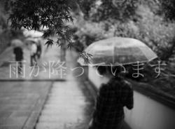 takara-mono:  harajukuking-deactivated2014021: it is raining.