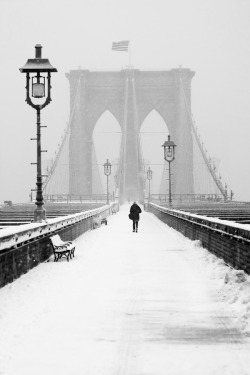 weshallneverstop:  Alone on the Bridge  |  Anthony Pitch 