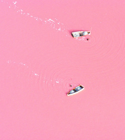 princeszes:  puhcific:  exhali:  rojin:   Lake Retba in Senegal