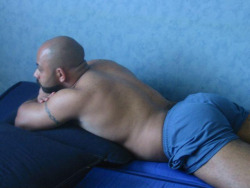 loveforthethickman:  Humpback Bear 