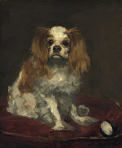 babybirdyblue:  fckyeaharthistory:  Edouard Manet - A King Charles