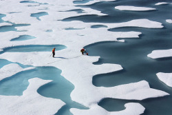 inothernews:  ICE ICE BABIES   Crewmembers from the U.S. Coast