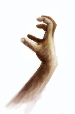  Another hand anatomy practice. Approximately 3 hours in Photoshop