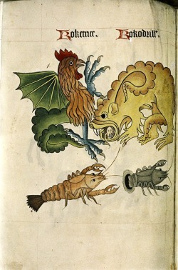 f-featherbrain:  The Tudor Pattern Book, Bodleian MS. Ashmole