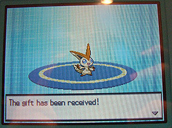 cityofplacidity:  poke-problems:  Victini is back! How to get