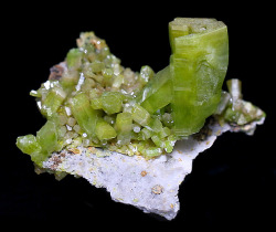 billycrystalbillycrystal:  Large terminated Pyromorphite crystal