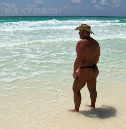 the-bulky-bunch:  photoshopped beach bear 