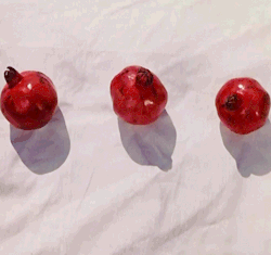 aclockworkorange:  Russian Surrealism, The Color of Pomegranates,
