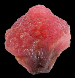 billycrystalbillycrystal:  Fine crystal of “Mushroom” Rubellite