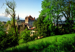 allthingseurope:  Lausanne, Vaud, Switzerland (by photoriel)