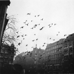 onlyoldphotography:  John Gutmann: Goodbye Berlin, 1933 