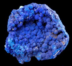 billycrystalbillycrystal:  Specimen of Azurite and Chalcoalumite!