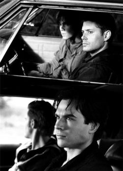 Winchester bros and Salvatore bros. <3