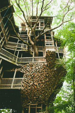 kingdom-of-animals:  The Minister’s Treehouse in Crossville,