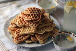 1ndecent3xposure:  waffles 