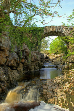 agoodthinghappened:  Packhorse Bridge, Ribblehead, Yorkshire