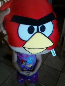 My sister decked out in angry birds :D