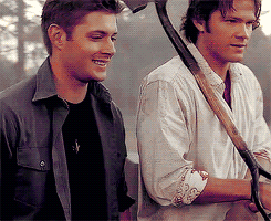 iwannalickyourimpala:  Definition of Supernatural in 6 words: brothers,