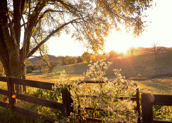 bluepueblo:  Sunset Meadow, Fayetteville, Tennessee photo via