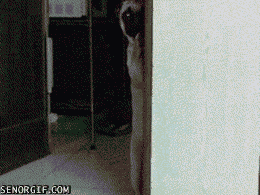 Hey
