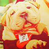  “He is my life.” - G-Dragon Happy birthday, Gaho! You went