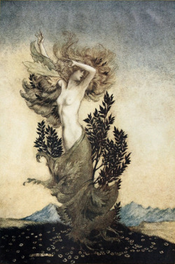 Arthur Rackham, Daphne, illustration (1921) for John Milton’s