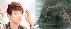 endlesslo7e:  I See NO Difference xD