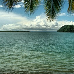 itravelcostarica:  #ocean view through #palmtrees - #golfito