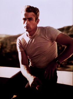 jimmydean-jamesdean:  36/100 → James Dean