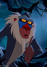  Favourite The Lion King Characters → 6. Rafiki “It means