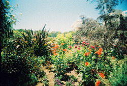 The Getty