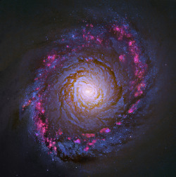 ikenbot:  M94  Distance: 5,000,000 Light Years  by Robert Gendler