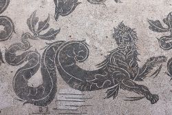 cliothemuseofhistory:  Sea-monster, detail of a mosaic representing