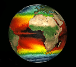 vetesta:  Fluid dynamics of Earth’s ocean, colored by surface