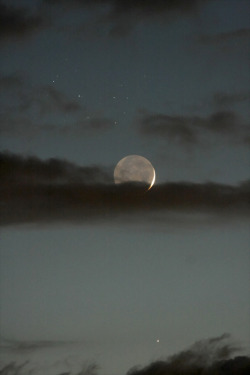 microbe:  The Moon, Mercury, and the Pleiades star cluster 