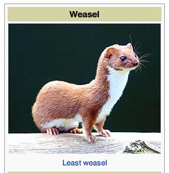 snakelet:  nah that looks Sufficiently Weasel to me. maybe not