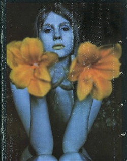 frenchtwist:  Flowerburst by Karin Székessy, 1976Also 