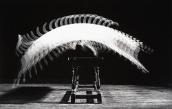 the-absolute-best-posts:  alecshao: Harold Edgerton- The Anatomy