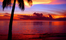 sundefined:  Sunset, St Lucia (by exemplaryphotos) 