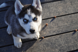 ge3kan:  I want you :o