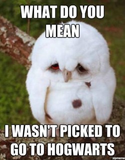 thefunniestpost:  Hysterical Blog! 