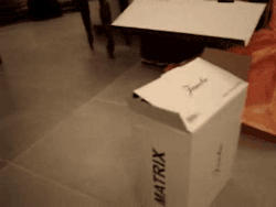 yuria:  Cat in the Box - YouTube 